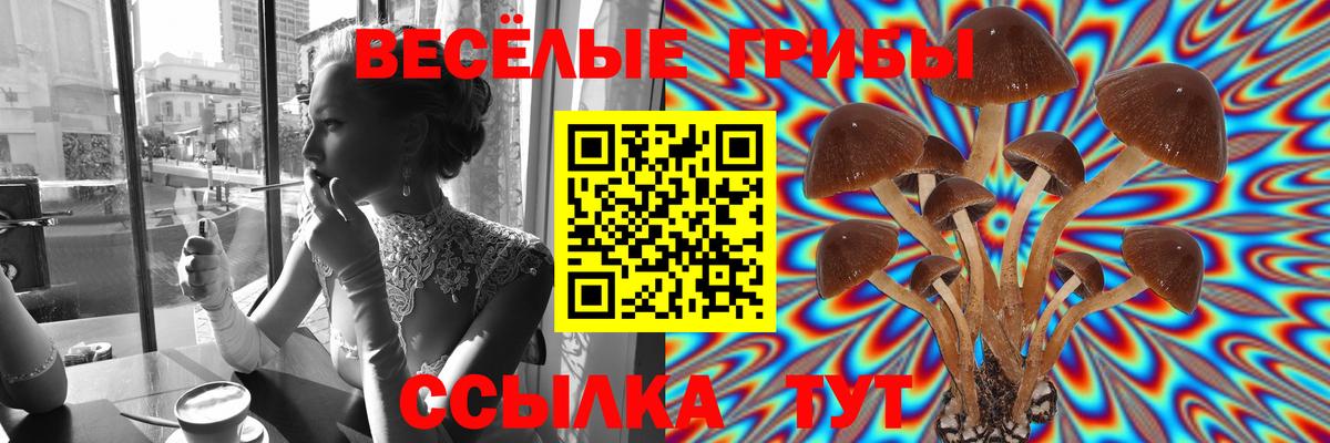 Галлюциногенные грибы прущие грибы Сарапул